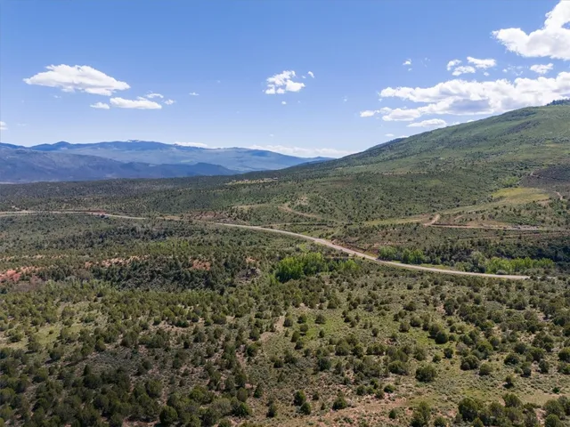 a view of a forest with mountains in the background