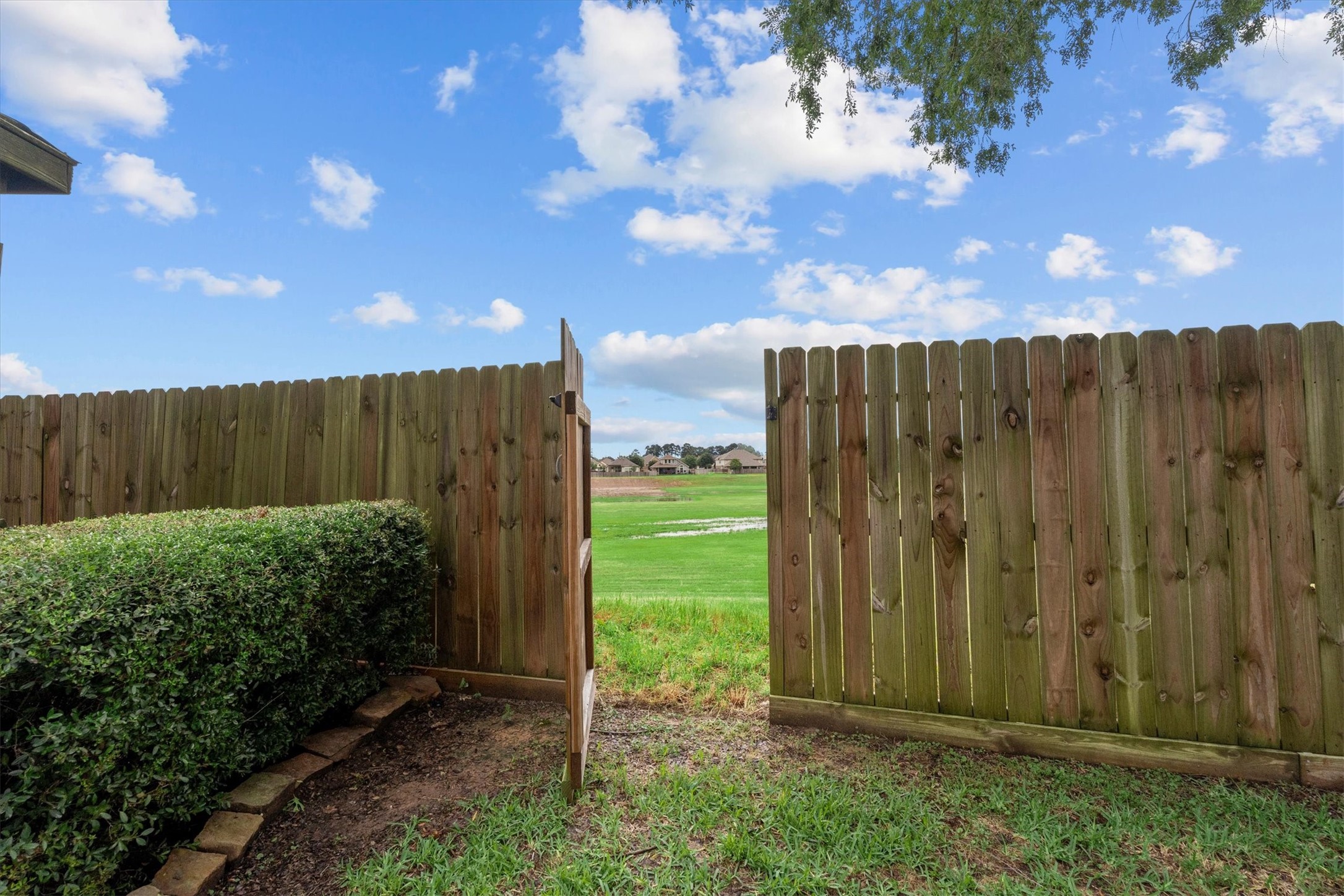 6323 Stone Trail Lane Spring, TX 77379 - Photo 31 of 43 a view of a backyard with potted plants and a large tree