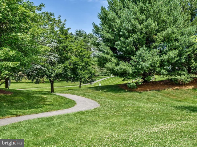 a body of water with a tree in the background