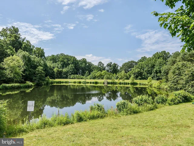 a view of a park with slide