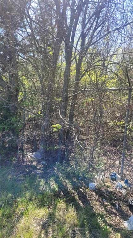 Lot 3 Interstate 45 Wilmer, TX 75172 - Photo 2 of 4 a view of a forest with trees
