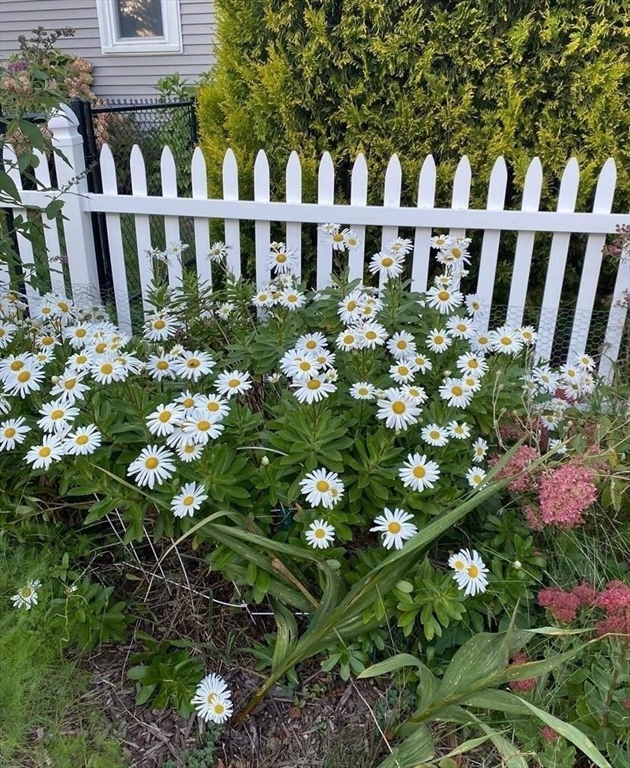 52 Ellsworth Avenue Beverly, MA 01915 - Photo 16 of 24 a view of a house with a flower garden
