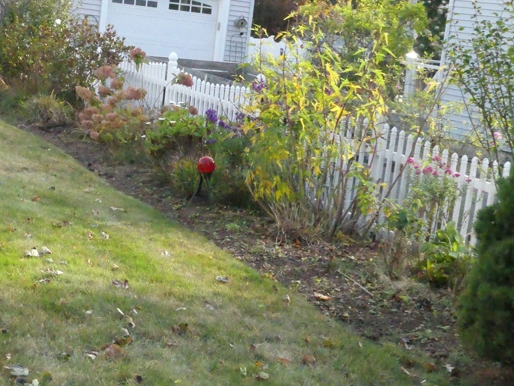 52 Ellsworth Avenue Beverly, MA 01915 - Photo 20 of 24 a view of a yard