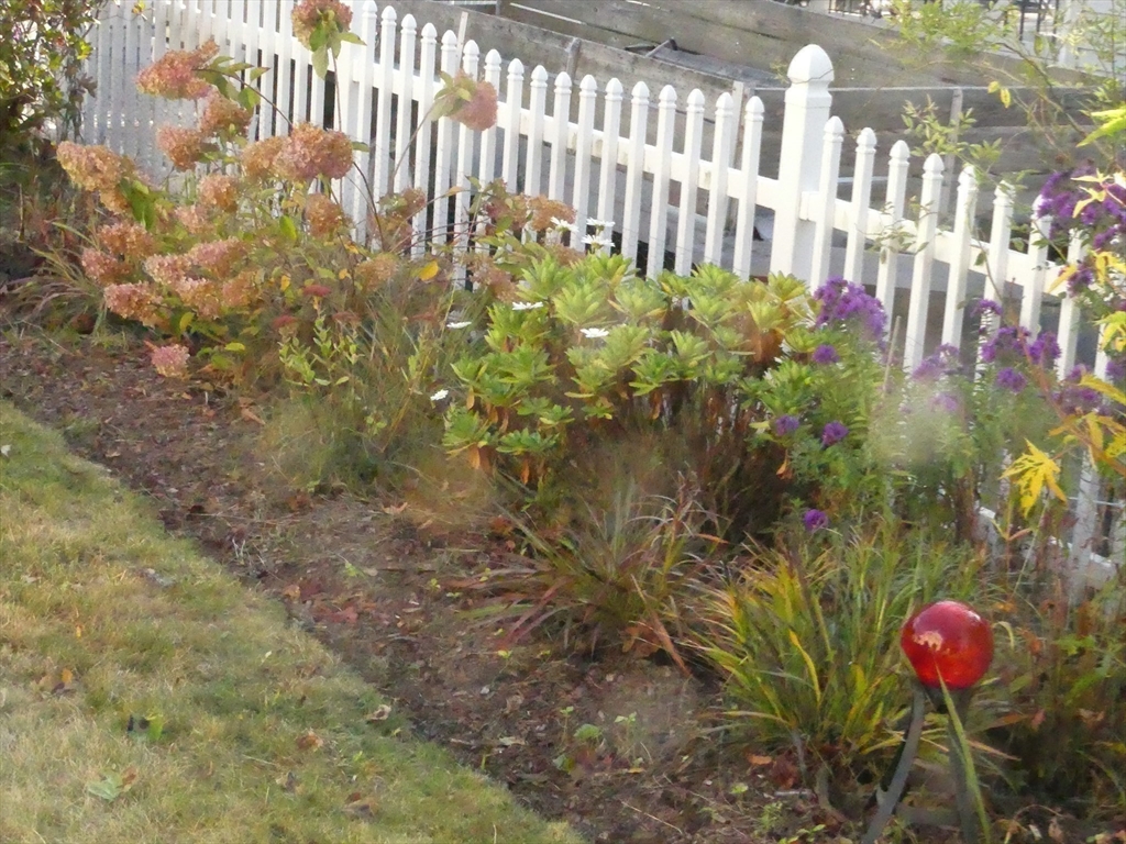 52 Ellsworth Avenue Beverly, MA 01915 - Photo 21 of 24 a view of a bunch of plants and flowers