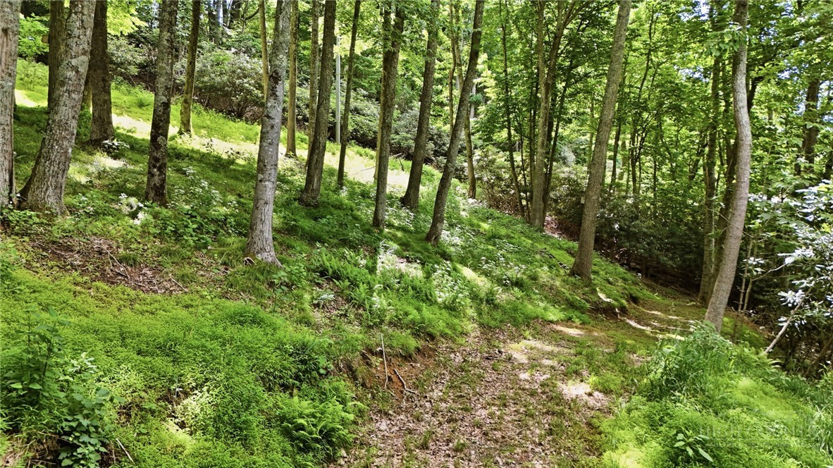 176 Raven View Boone, NC 28607 - Photo 38 of 39