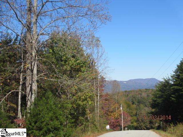 0 Raccoon Trail Travelers Rest, SC 29690 - Photo 15 of 21 Gallery Image 15