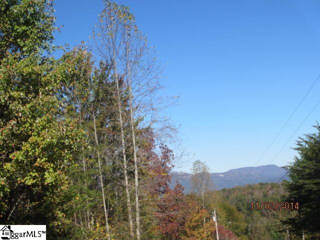 0 Raccoon Trail Travelers Rest, SC 29690 - Photo 16 of 21 Gallery Image 16