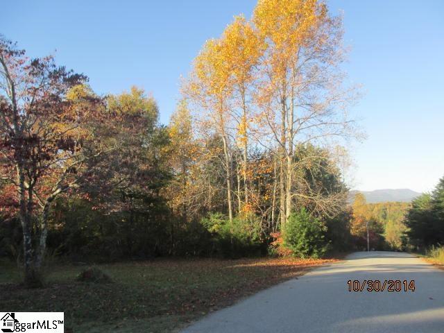 0 Raccoon Trail Travelers Rest, SC 29690 - Photo 9 of 21 Gallery Image 9