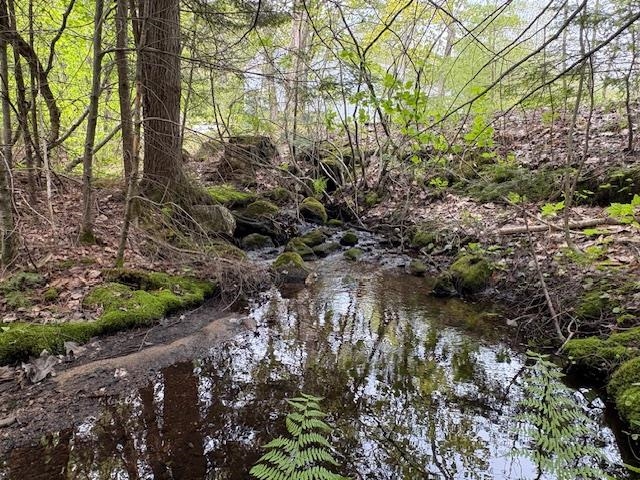 0 Route 114 North Sutton, NH 03260 - Photo 13 of 13