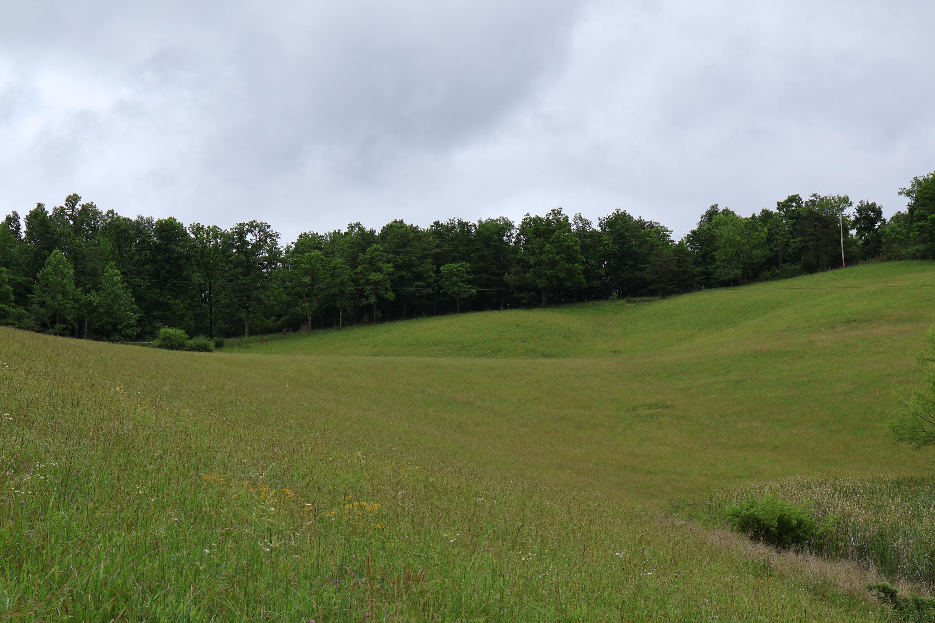 4135 Big Andy Ridge Road, Unit TRACT 1 Rogers, KY 41365 - Photo 6 of 11 Tract 1