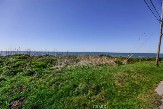 a view of a back yard