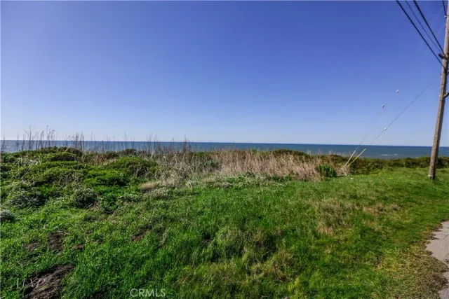 a view of a back yard