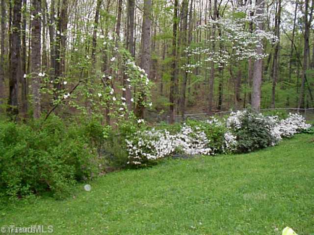 1411 Chesterfield Road Lewisville, NC 27023 - Photo 2 of 16 Yard/Garden. View of the backyard and garden space from the expanded Deck!