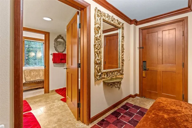 a view of a yard with plants and trees