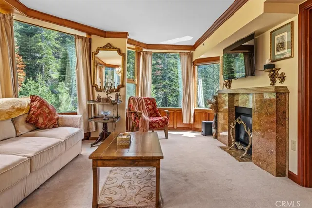 a living room with furniture a fireplace and a floor to ceiling window