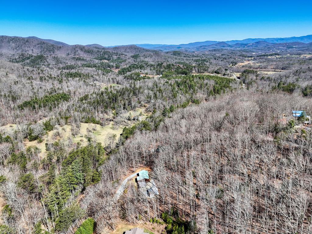 7 Cornflower Road Blairsville, GA 30512 - Photo 39 of 41 Gallery Image 39