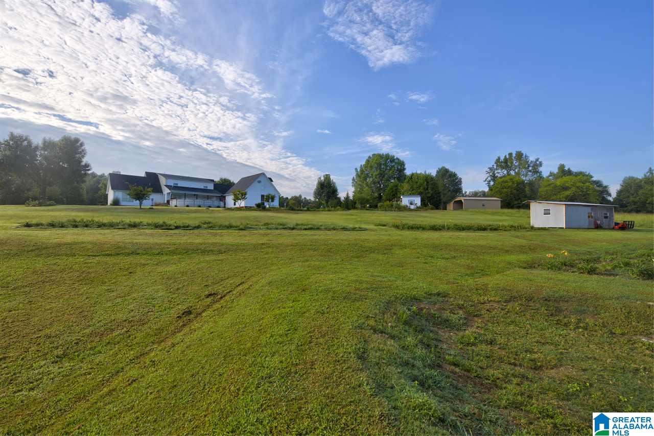 3900 Bud Umphrey Road Altoona, AL 35952 - Photo 7 of 47