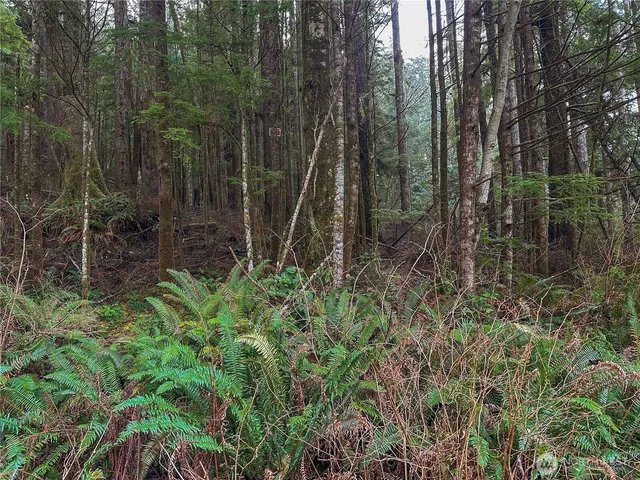 $29,900 | 15 Salal Drive, Copalis Beach, WA 98535