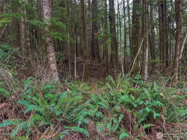 $29,900 | 15 Salal Drive, Copalis Beach, WA 98535