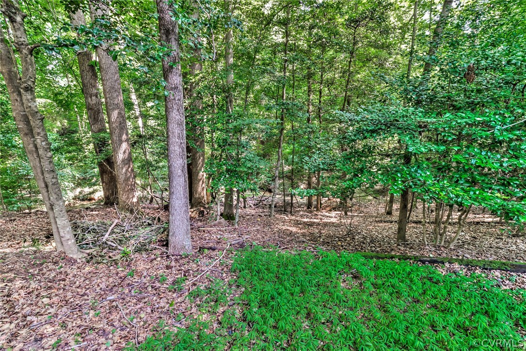5220 Hurop Road Sandston, VA 23150 - Photo 25 of 25 Gallery Image 25