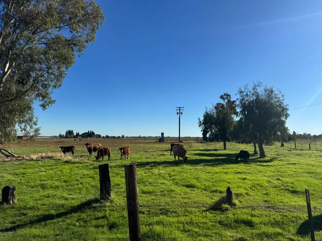 a view of a garden with an outdoor space