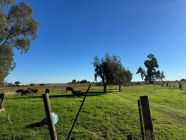 a view of a golf course with a garden