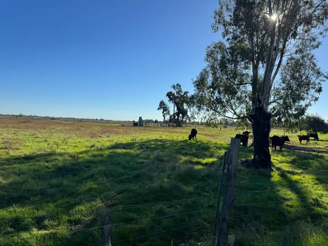 a view of yard with green space