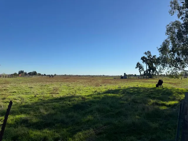 a view of an ocean from a yard