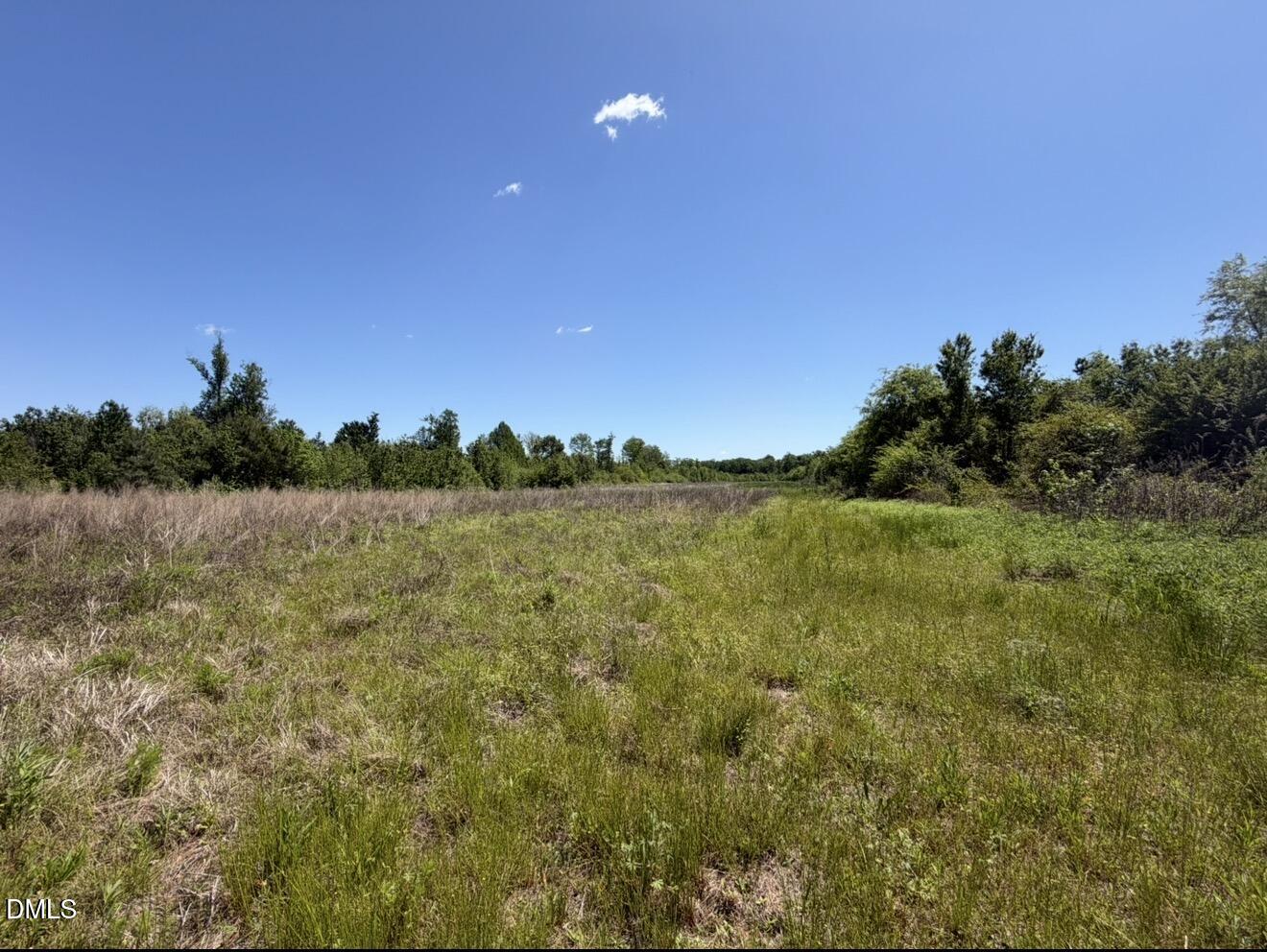 679 Mintz Road Roseboro, NC 28382 - Photo 75 of 80 a view of a lake from a yard