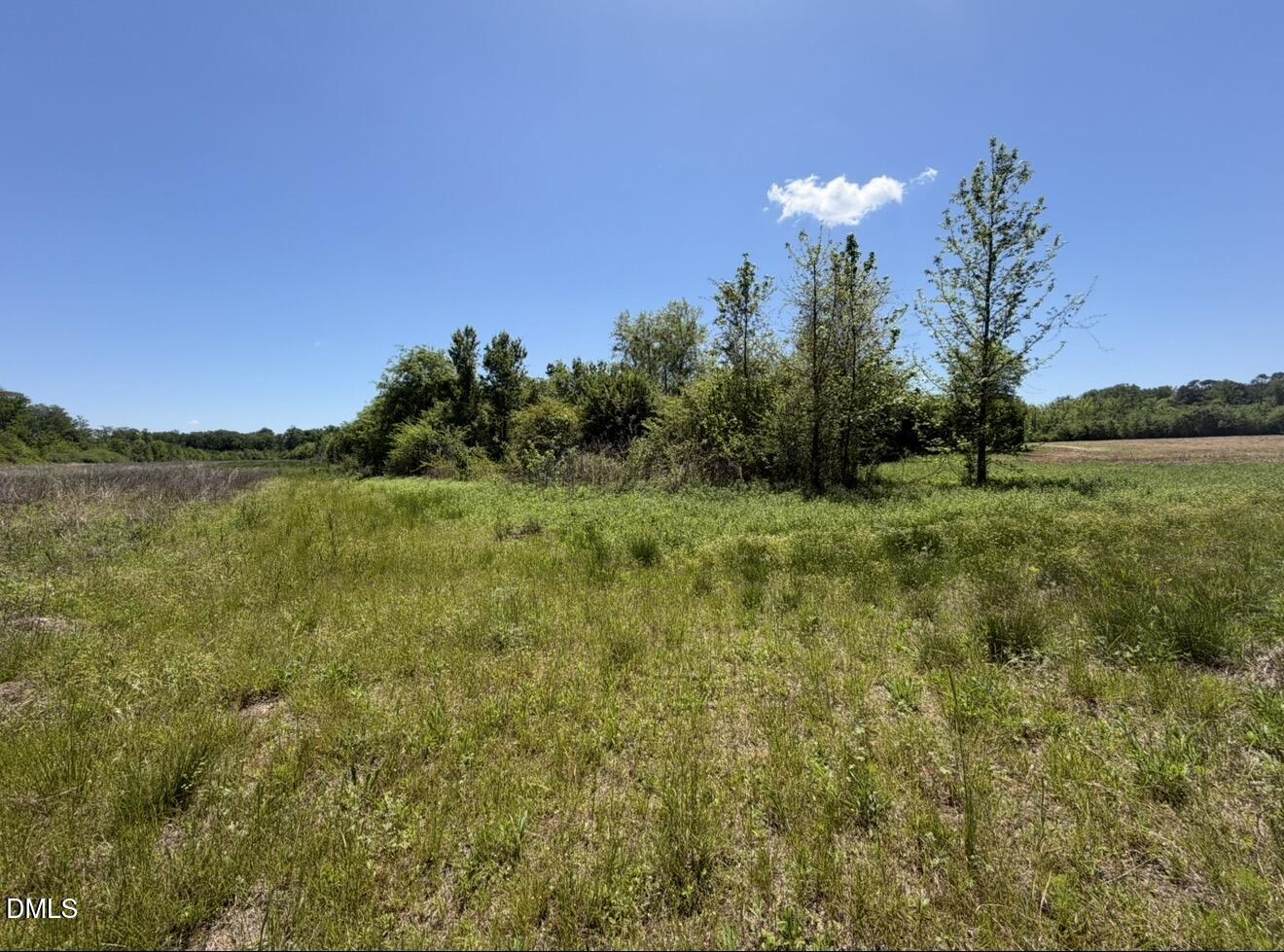 679 Mintz Road Roseboro, NC 28382 - Photo 76 of 80 a view of a field with an ocean