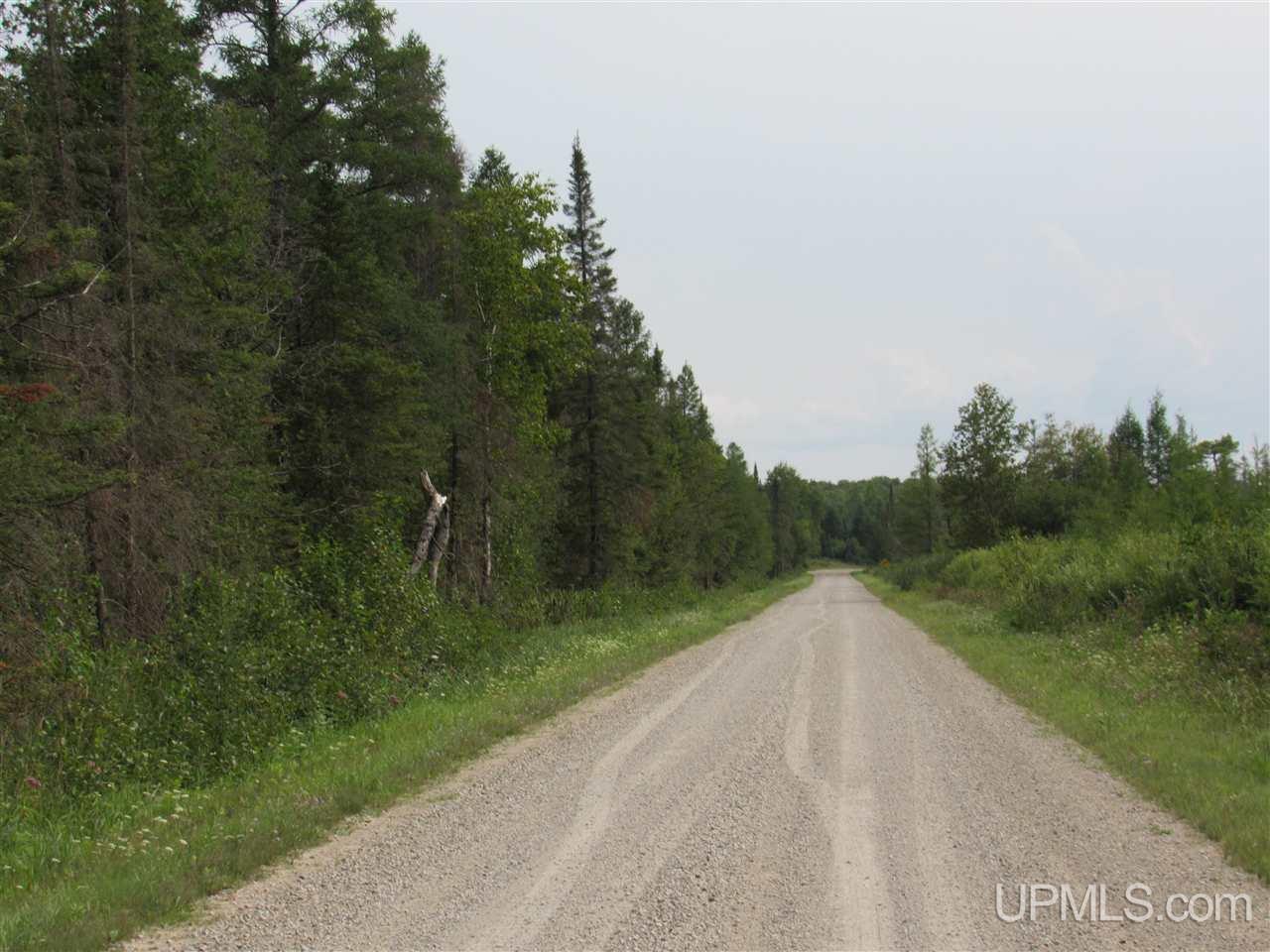 M69 And Shiversky Road Perronville, MI 49873 - Photo 1 of 16