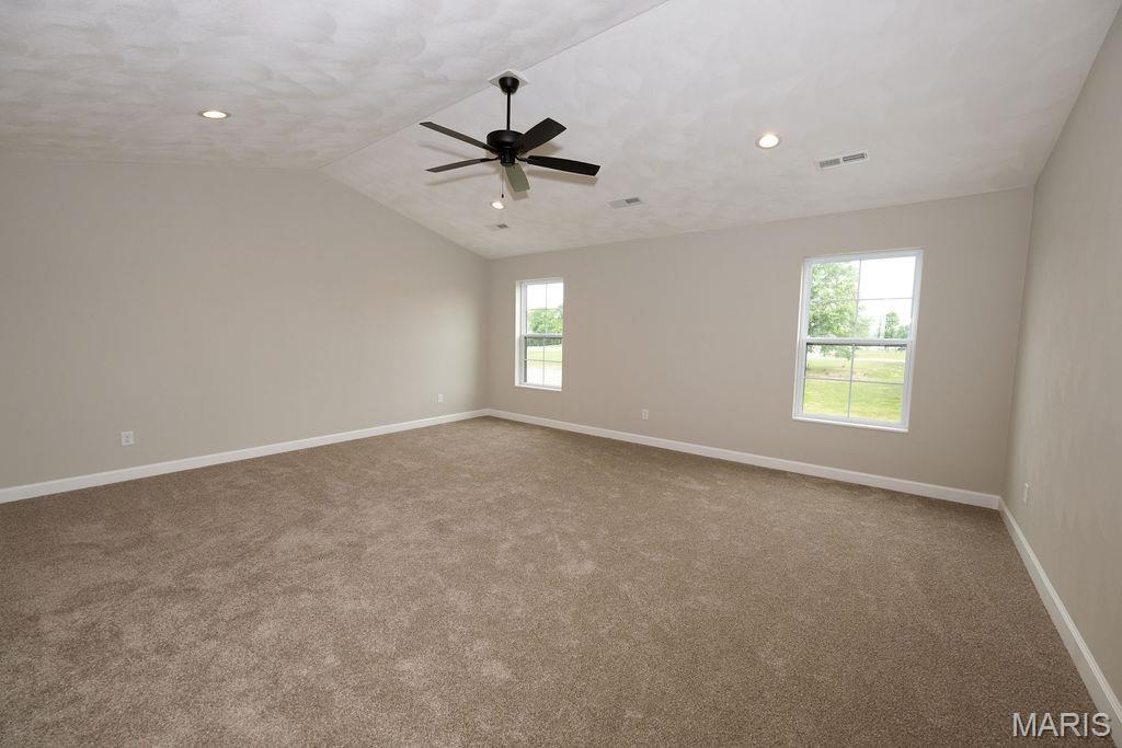 1453 Lexi Lane Mascoutah, IL 62258 - Photo 15 of 24