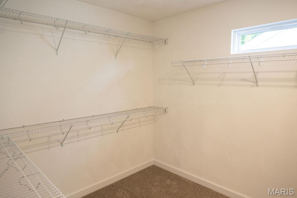 1453 Lexi Lane Mascoutah, IL 62258 - Photo 19 of 24