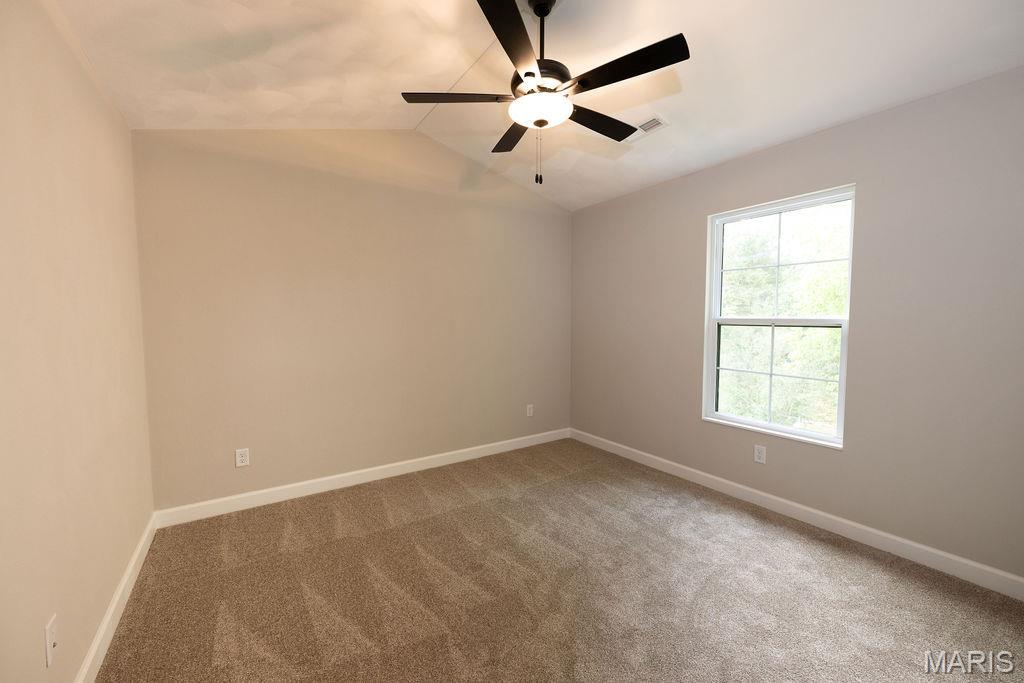 1453 Lexi Lane Mascoutah, IL 62258 - Photo 20 of 24