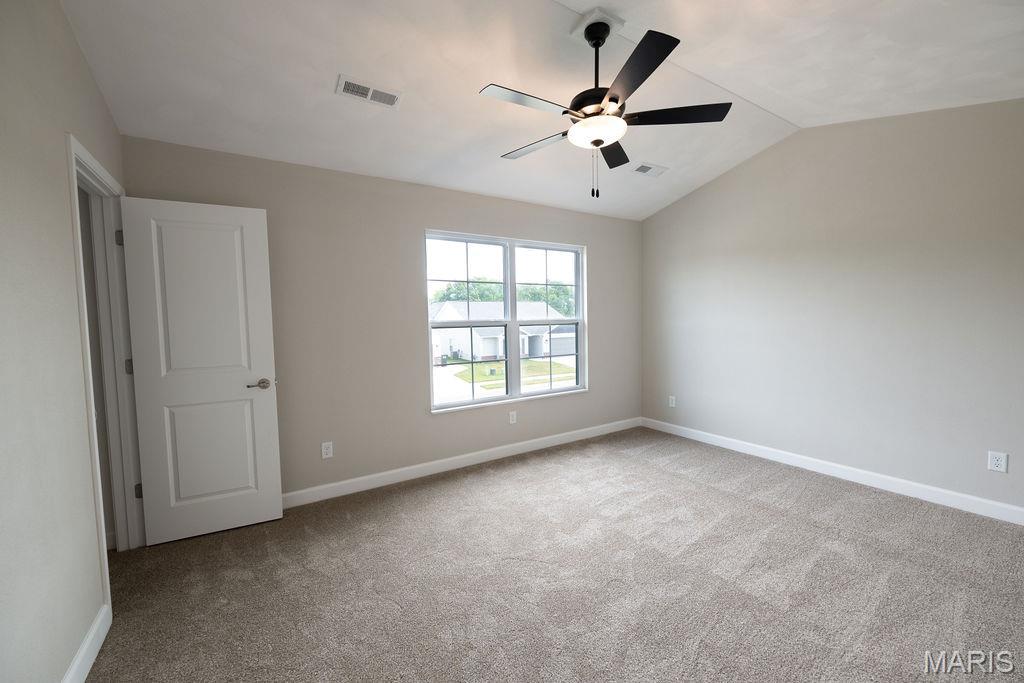 1453 Lexi Lane Mascoutah, IL 62258 - Photo 22 of 24