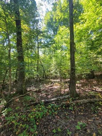 $69,000 | 0 Fire Tower Road, McDonald, TN 37353