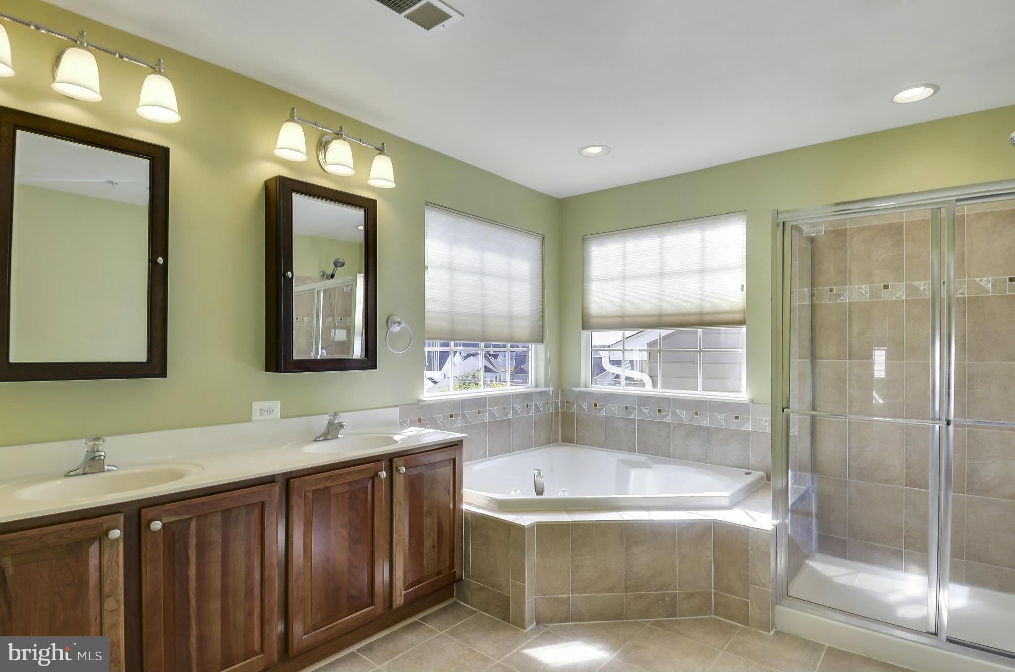 23113 Birch Mead Road Clarksburg, MD 20871 - Photo 11 of 30 Bath (Master)