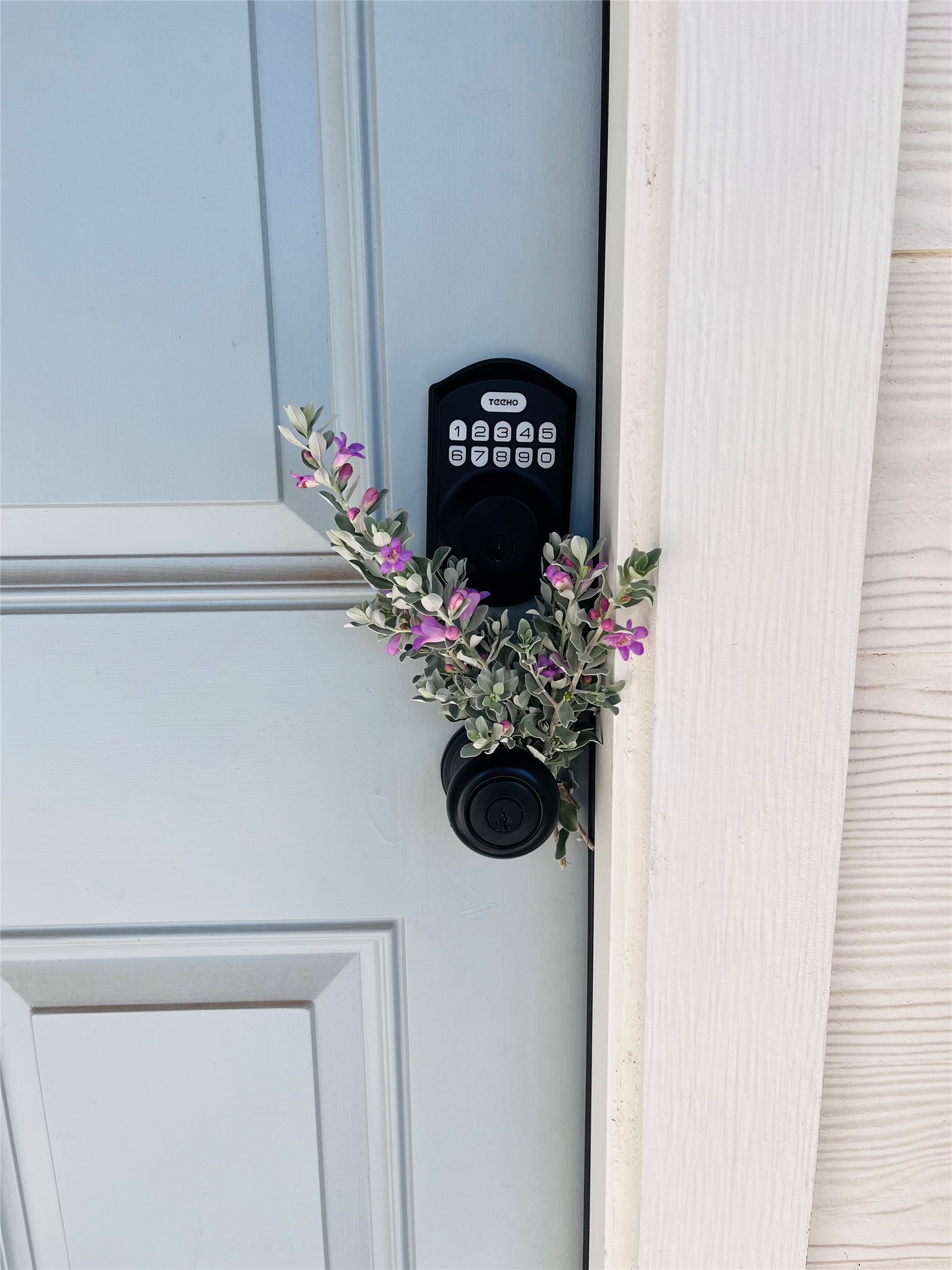 2536 Acoma Lane Leander, TX 78641 - Photo 3 of 26 Exterior view