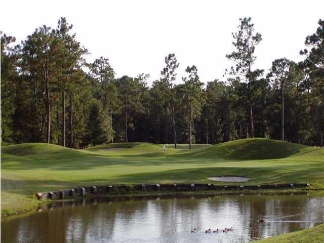 167 Hickory Ridge Way Summerville, SC 29483 - Photo 31 of 32 Pine Forest Golf