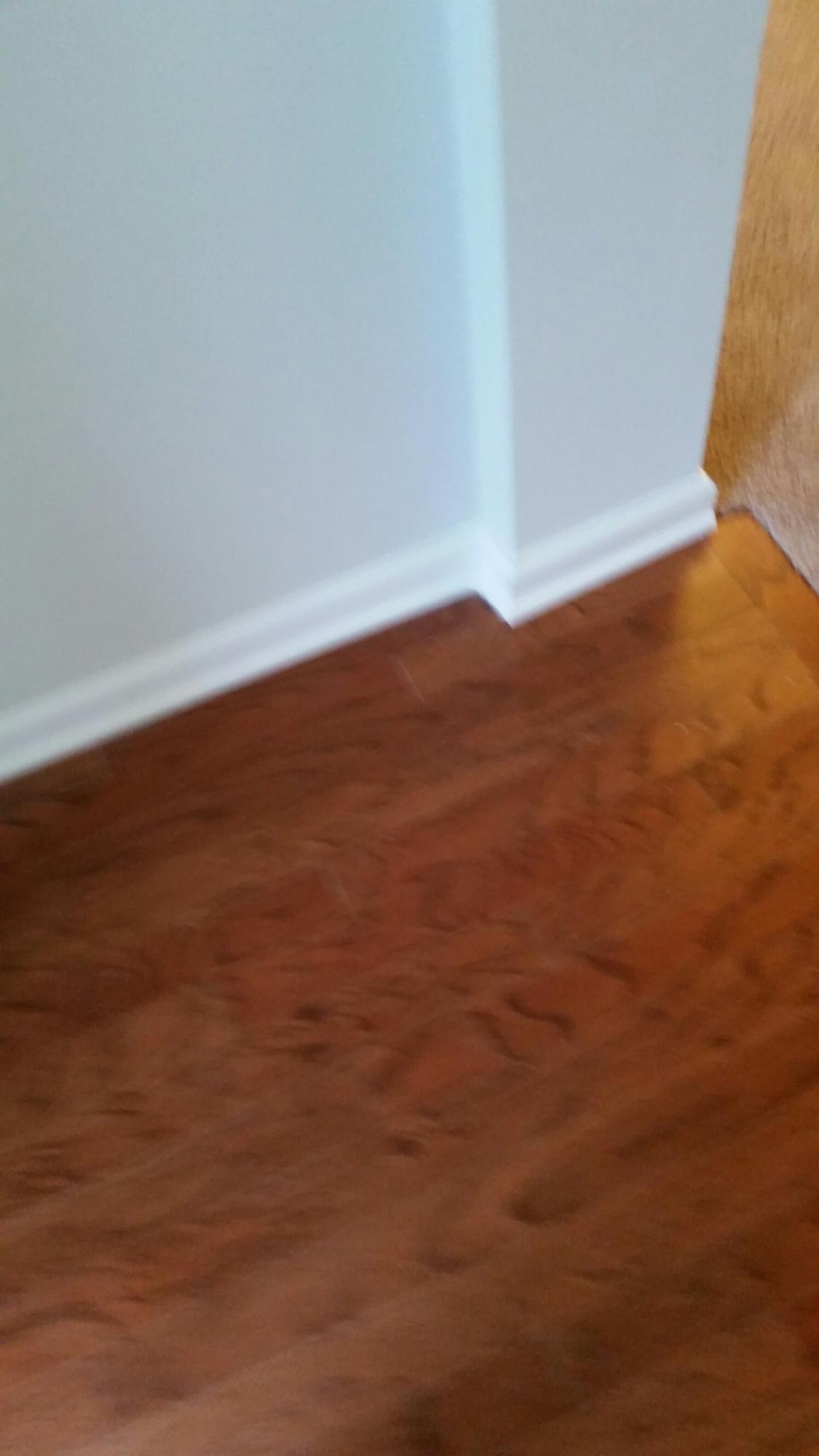167 Hickory Ridge Way Summerville, SC 29483 - Photo 7 of 32 Foyer
