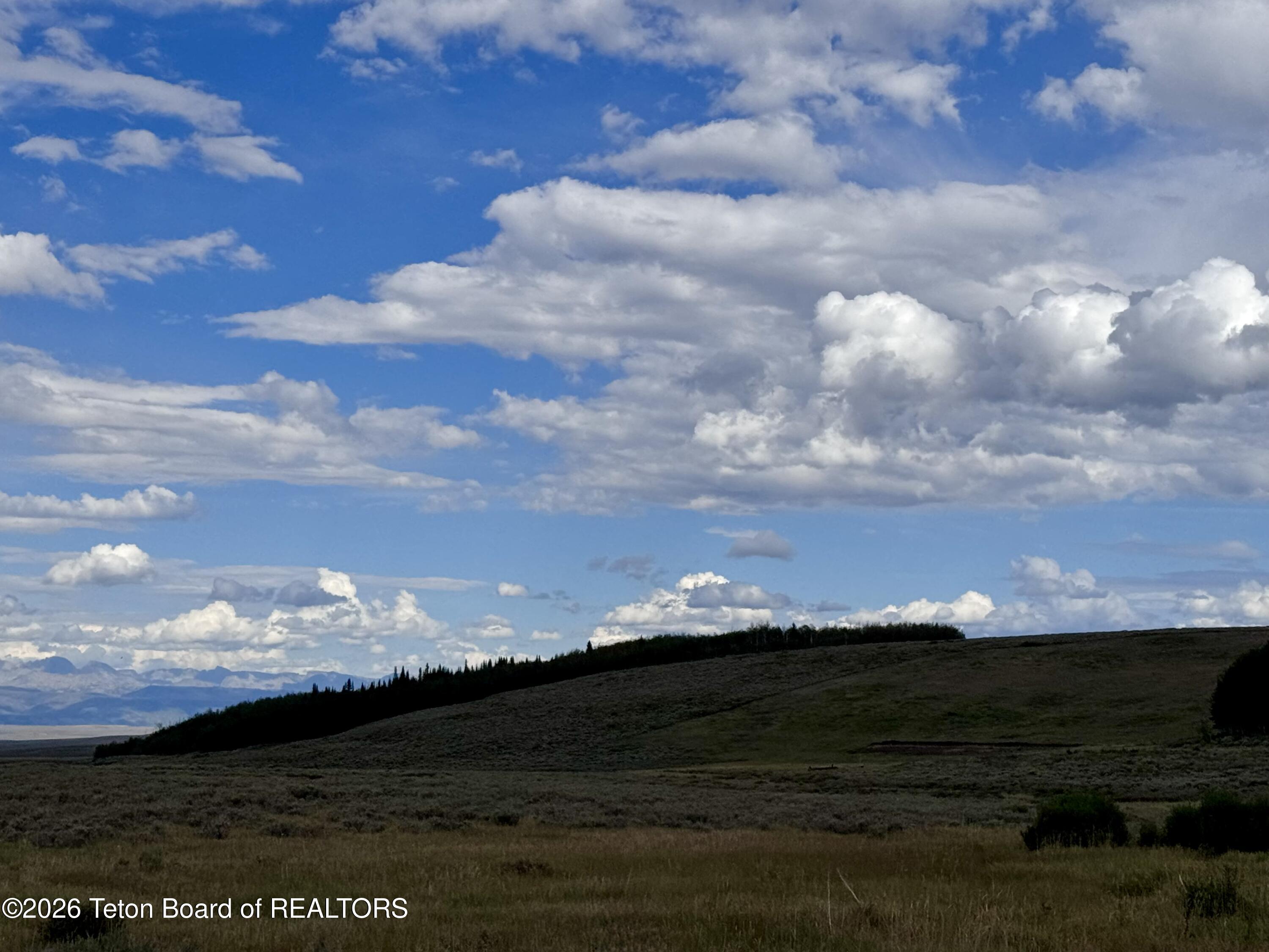59 Aspen Ridge Road Daniel, WY 83115 - Photo 5 of 44 Sweet Escape on 35.11 Acres