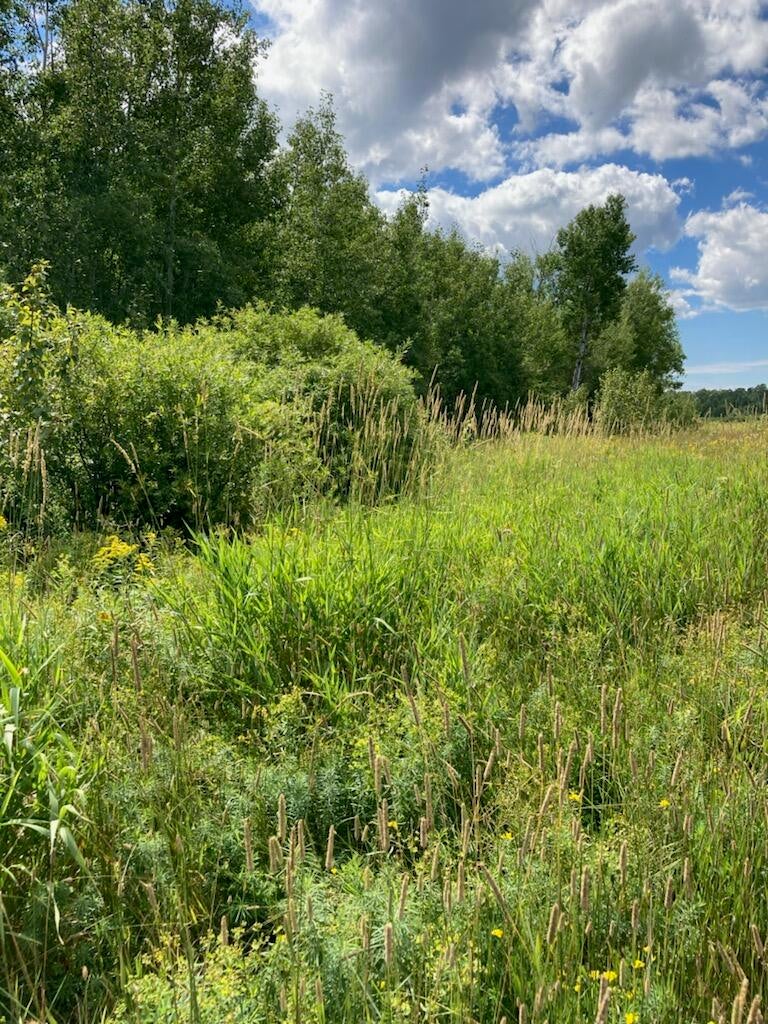 0 Everleigh Road Pickford, MI 49774 - Photo 7 of 25 Gallery Image 7