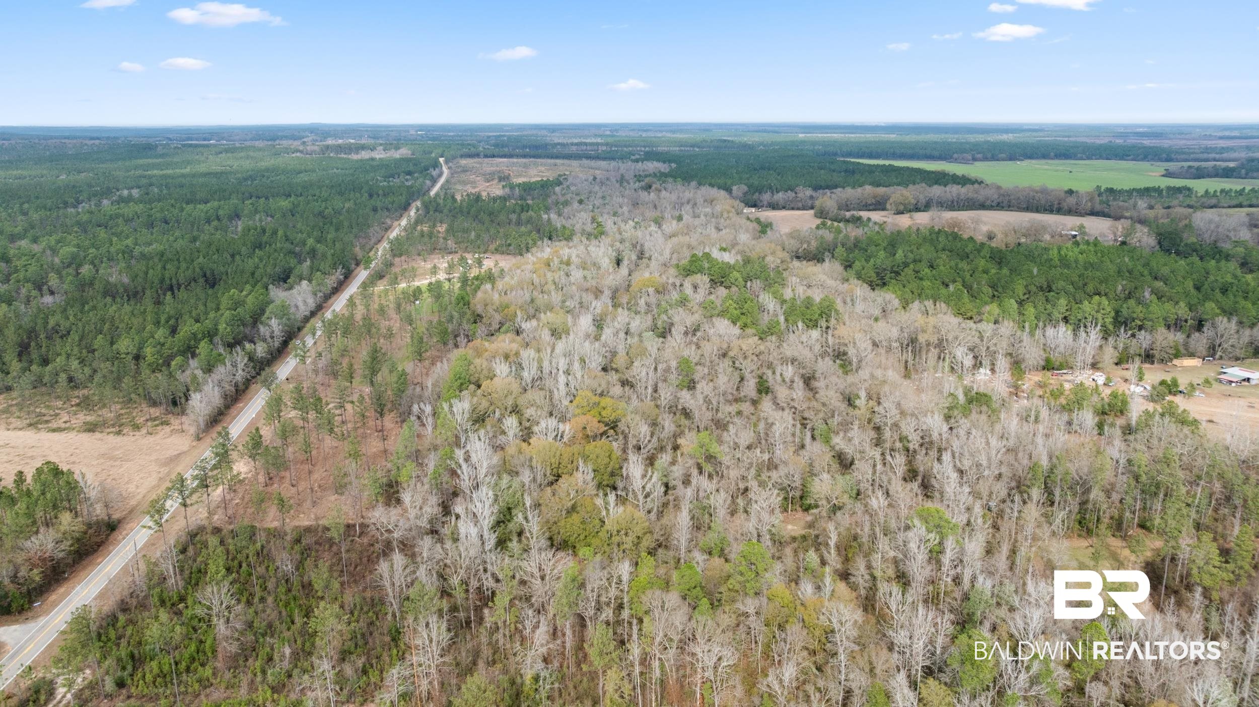 0 Lottie Road Atmore, AL 36502 - Photo 9 of 17 View of property location featuring a forest