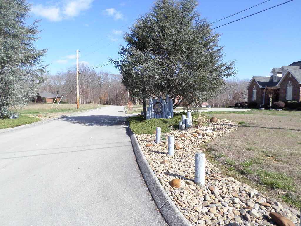 Devon Way Road White Pine, TN 37890 - Photo 3 of 5 SAM_3529