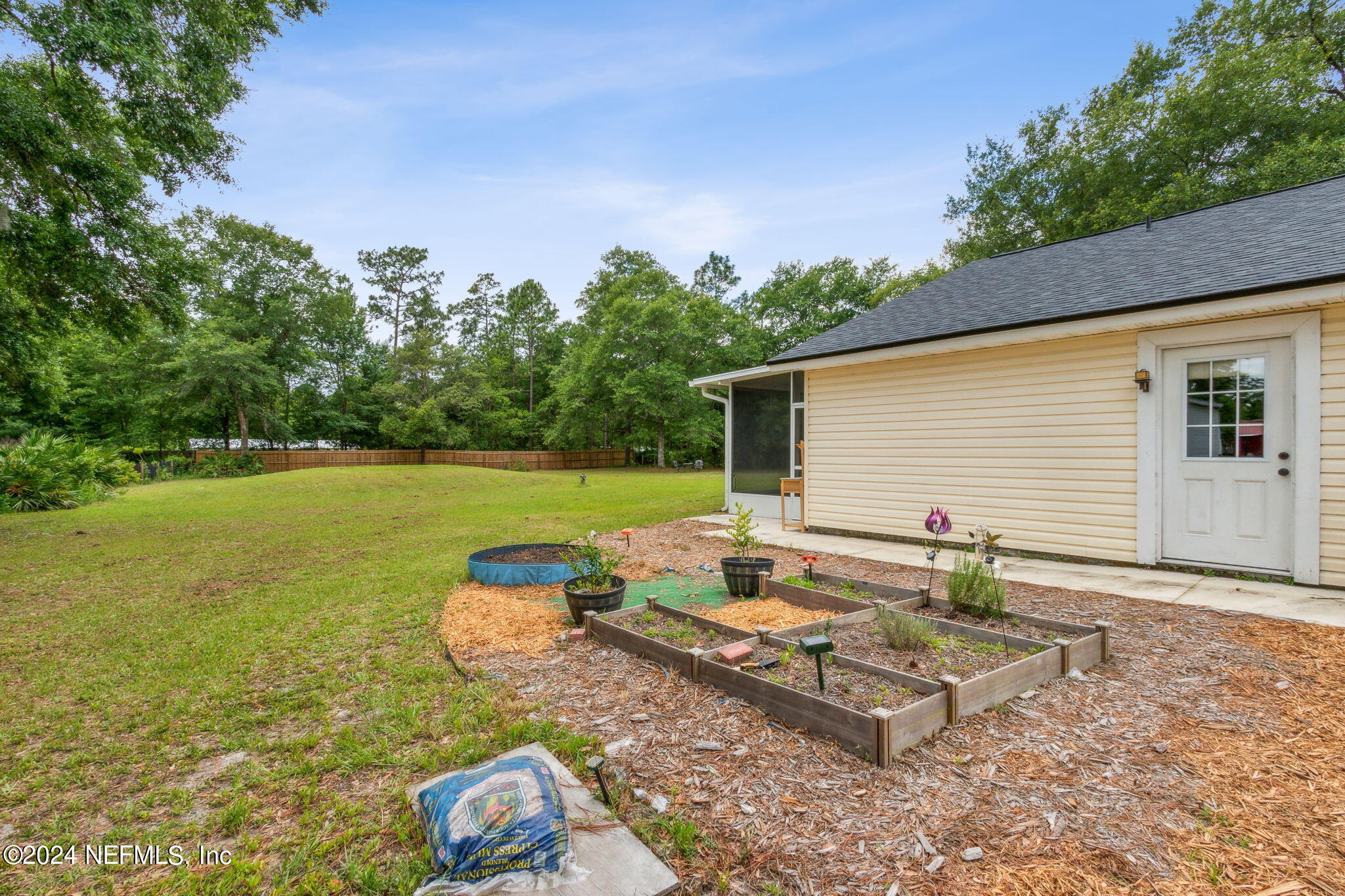 4645 Peppergrass Street Middleburg, FL 32068 - Photo 33 of 39 Side Yard