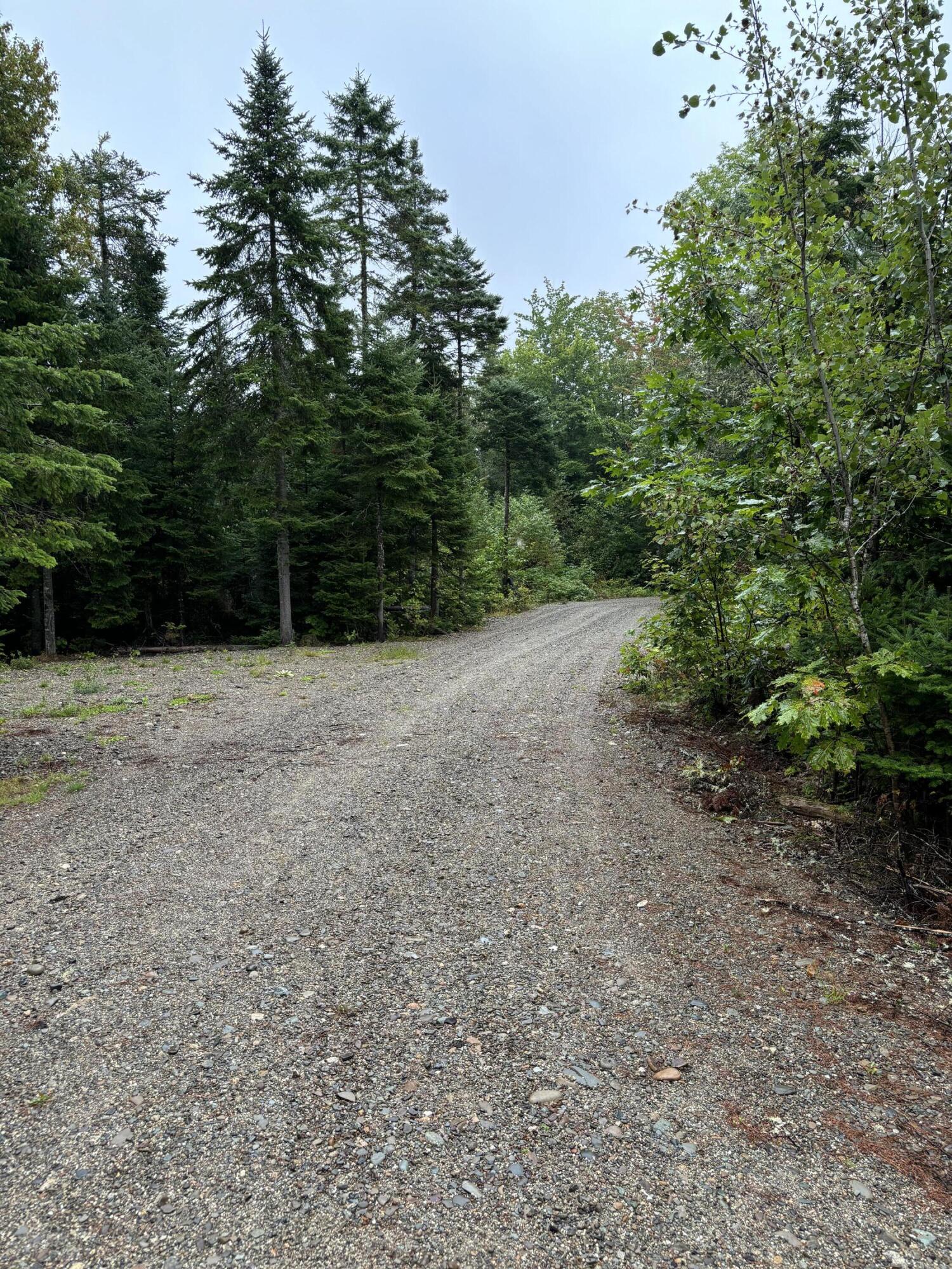 395 Bottle Lake Road Springfield, ME 04487 - Photo 14 of 14 IMG_0325