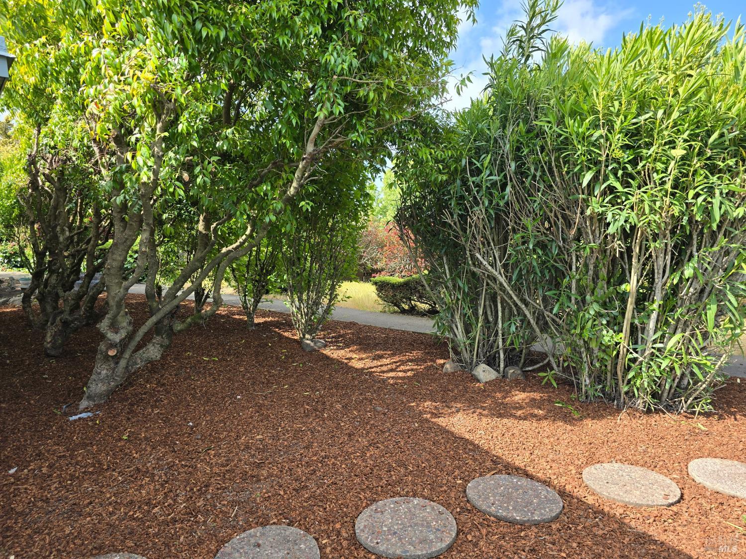 21 Sequoia Circle Santa Rosa, CA 95401 - Photo 18 of 21