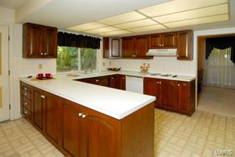 12623 Robyn Road St. Louis, MO 63127 - Photo 12 of 41 Gallery Image 12