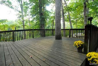 12623 Robyn Road St. Louis, MO 63127 - Photo 34 of 41 Gallery Image 34