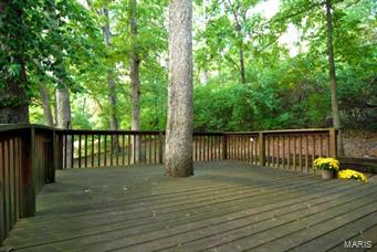 12623 Robyn Road St. Louis, MO 63127 - Photo 36 of 41 Gallery Image 36